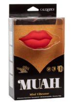 Mini Wibrator Naughty Bits MUAH – Masażer w kształcie czerwonej wargi