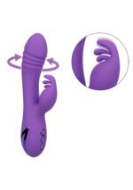 California Dreaming – West Coast Wave Rider