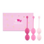 Zaawansowany Zestaw do Treningu Pochwy – Wzmocnij Mięśnie Dna Miednicy