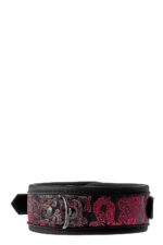 BLAZE DELUXE Obroża ze smyczą