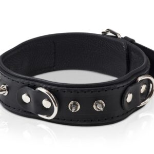 Wiązania-WHIPS obroża męska z półkółkami i smyczą