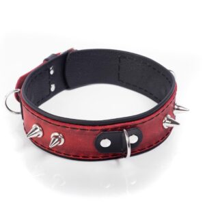 Obroża z kolekcji Crazy Horse – Wyrafinowana Elegancja w Świecie BDSM