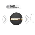 Secret Delight - Wibrujące Jajeczko z Funkcją Sterowania Głosem od Marc Dorcel